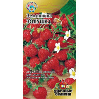 Земляника Золушка Удачные Семена Гавриш Ц
