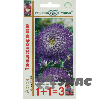 Астра Принцесса сиреневая 1+1 Гавриш Ц
