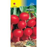 Редис Тарзан ЦветСад Ц