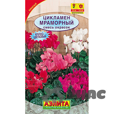 КОМ Цикламен мраморный смесь Аэлита Ц