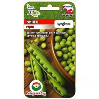 Горох Бинго СибСад Ц