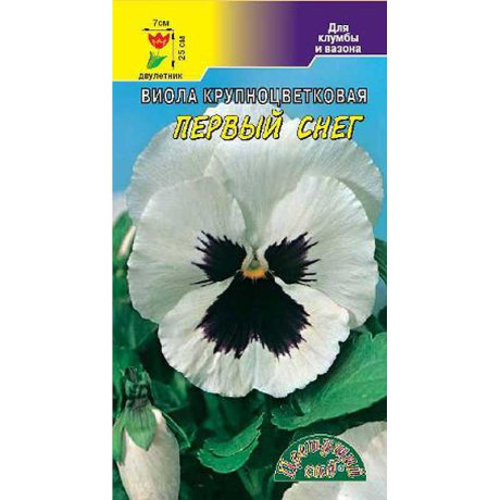 Виола Первый снег ЦветСад Ц