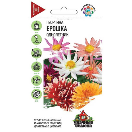 Георгин Ерошка Удачные Семена Гавриш Ц
