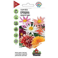 Георгин Ерошка Удачные Семена Гавриш Ц