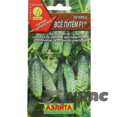Огурец Все путем Аэлита Ц