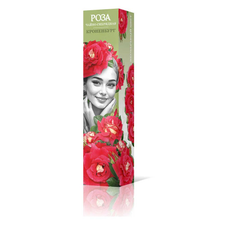 Роза чайно-гибридная Кроненбург Садовита