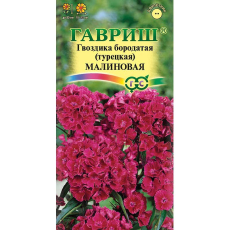 Гвоздика турецкая Малиновая Гавриш Ц