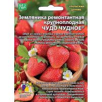 Земляника Чудо чудное Марс Ц