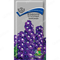 Дельфиниум Черный рыцарь Поиск Ц