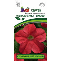 Петуния Кашарель Салмон Перфекшн Партнер Ц