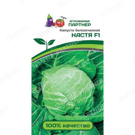 Капуста Настя Партнер Ц