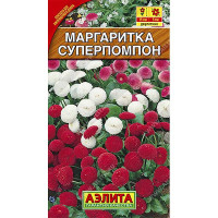 Маргаритка Суперпомпон Аэлита Ц