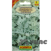 Цинерария Серебристо-снежная Аэлита Ц