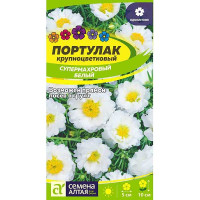 Портулак Супермахровый Белый СемАлт Ц