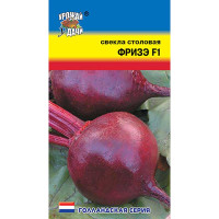 Свекла Фризэ Урожай у дачи Ц