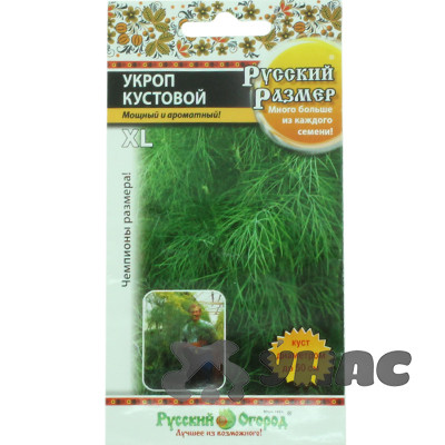Укроп Русский размер кустовой НК Ц