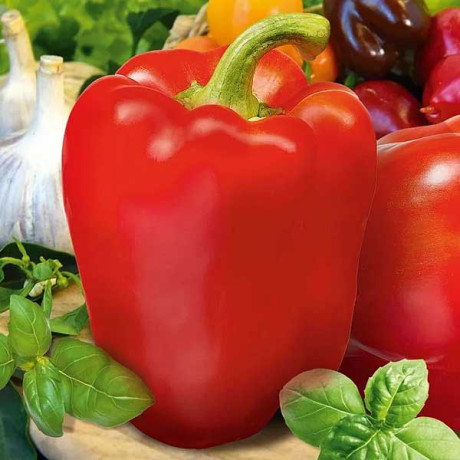 Перец Идеал НК Ц