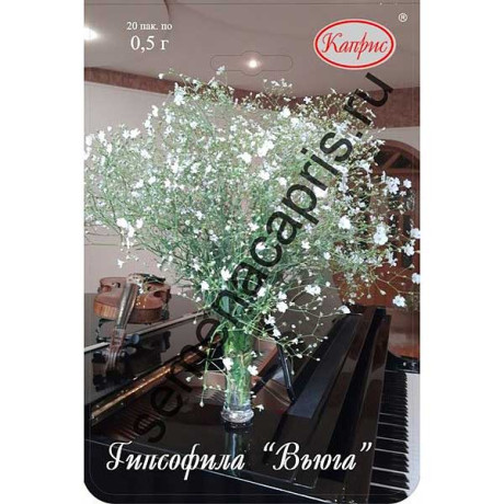 К Гипсофила Вьюга