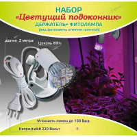 Набор"ЦветущийПодоконник" Весна6