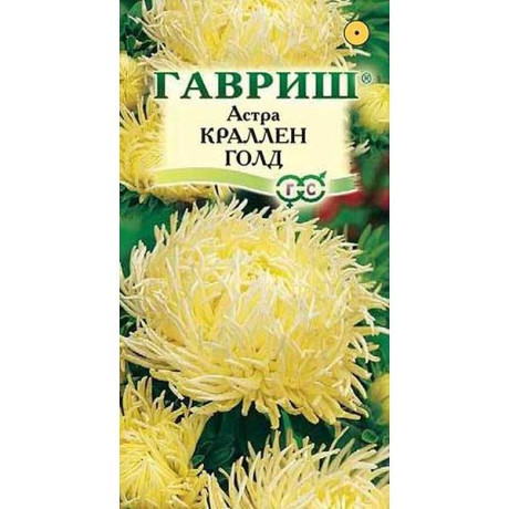 Астра Краллен Голд желтая Гавриш Ц