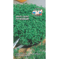 Кресс-салат Пучковый Седек Ц