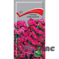 Статица Суприм карминная Поиск Ц