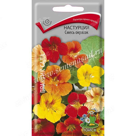 Настурция Смесь окрасок низкорослая Поиск Ц