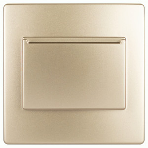 ЭРА 12 накладка на выкл. 12-4105-99, шампань 12-6201-04 6315