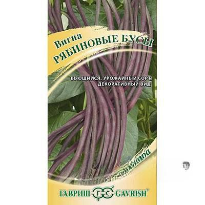 Вигна Рябиновые бусы Гавриш Цх10