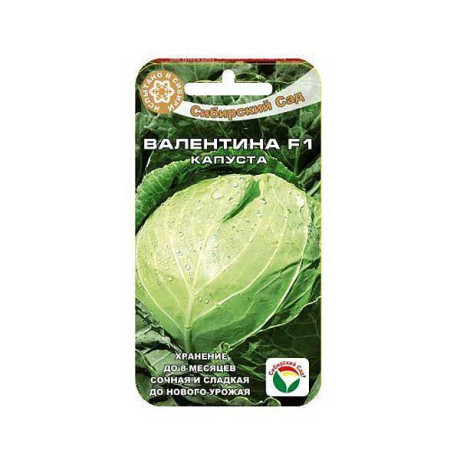 Капуста Валентина СибСад