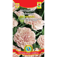 Гвоздика садовая Ля Франс Плазма Ц