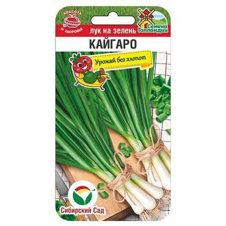 Лук на зелень Кайгаро СибСад Ц