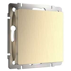 Werkel заглушка СУ 1 мест. (шампань рифленый) (WL10-70-11 a041308)W1159210 a051417