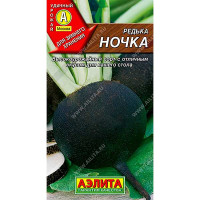 Редька Ночка Аэлита Ц