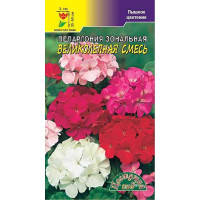 КОМ Пеларгония Великолепная смесь ЦветСад Ц