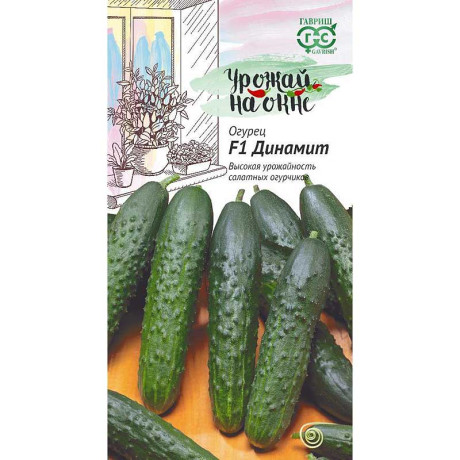 Огурец Динамит Урожай на окне Гавриш Ц