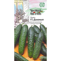 Огурец Динамит Урожай на окне Гавриш Ц