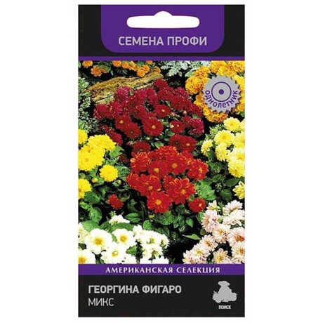 Георгин Фигаро Микс Поиск Ц