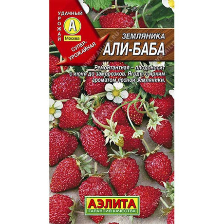 Земляника Али-Баба Аэлита Ц