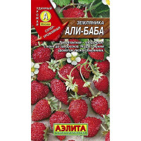 Земляника Али-Баба Аэлита Ц