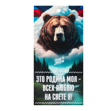 NEW GALAXY Ароматизатор бумажный Я люблю Россию, Это Родина моя!, свежесть леса 4г