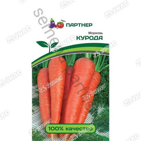 Морковь Курода  Партнер Ц