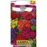 Флокс Каприз Аэлита Ц