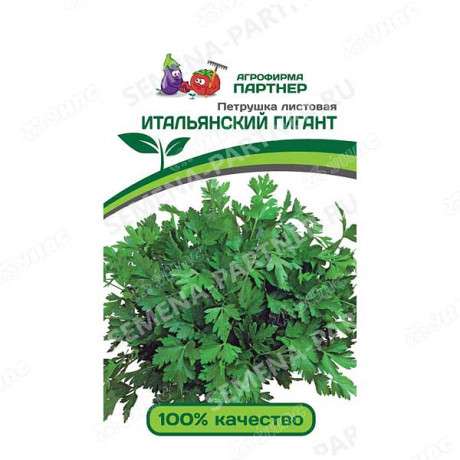 Петтрушка листовая Итальянский гигант Партнер Ц