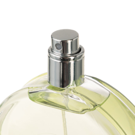 Туалетная вода женская Charme Fortuna, 100 мл.