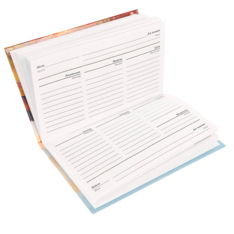 Ежедневник-планинг недатированный ClipStudio, формат А6, 64 листа, обложка 7БЦ