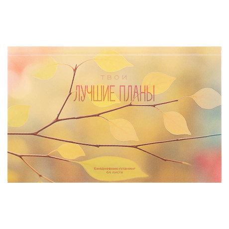 Ежедневник-планинг недатированный ClipStudio, формат А6, 64 листа, обложка 7БЦ