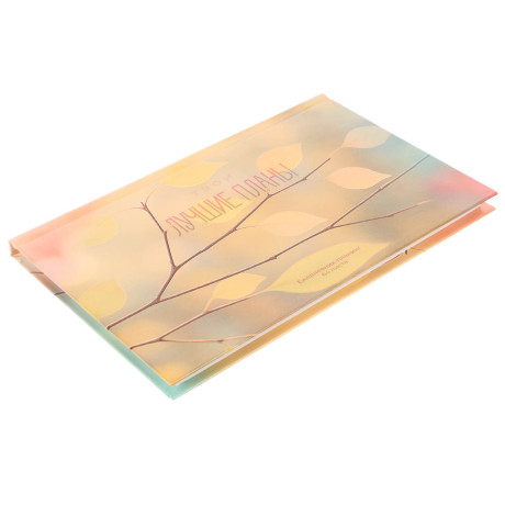 Ежедневник-планинг недатированный ClipStudio, формат А6, 64 листа, обложка 7БЦ