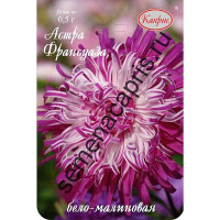 К Астра Франсуаза бело-малиновая