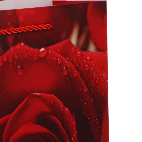 Пакет подарочный тм Fntastic M 18x23x10см, бумага, 4 дизайна, арт.7